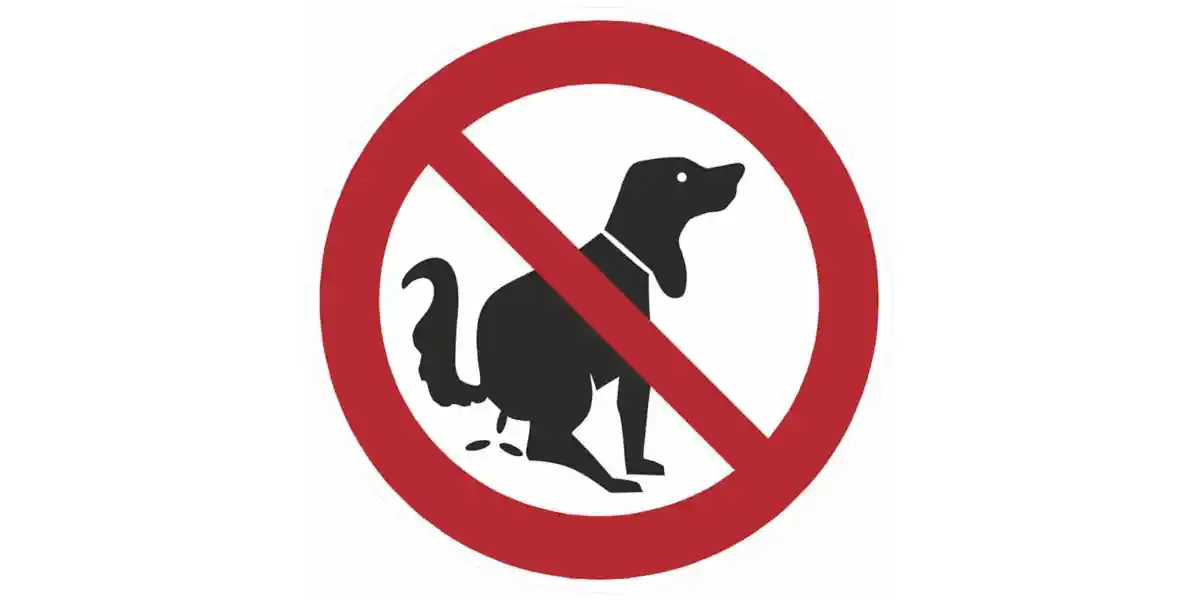 Bild zu Hund Weg 🐶 Hundekot – Hundeweg